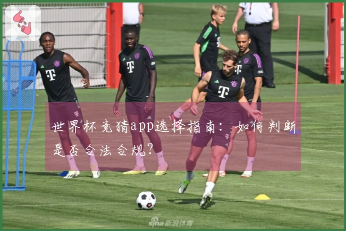 世界杯竞猜app选择指南：如何判断是否合法合规？