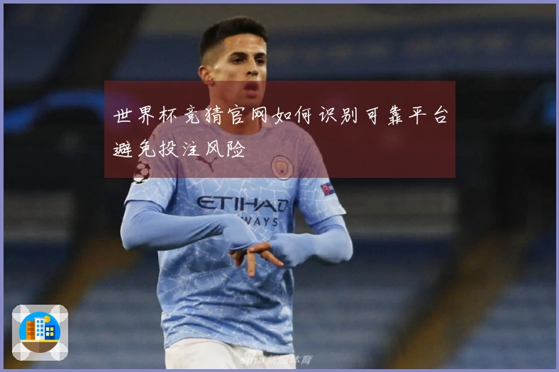 世界杯竞猜官网如何识别可靠平台避免投注风险