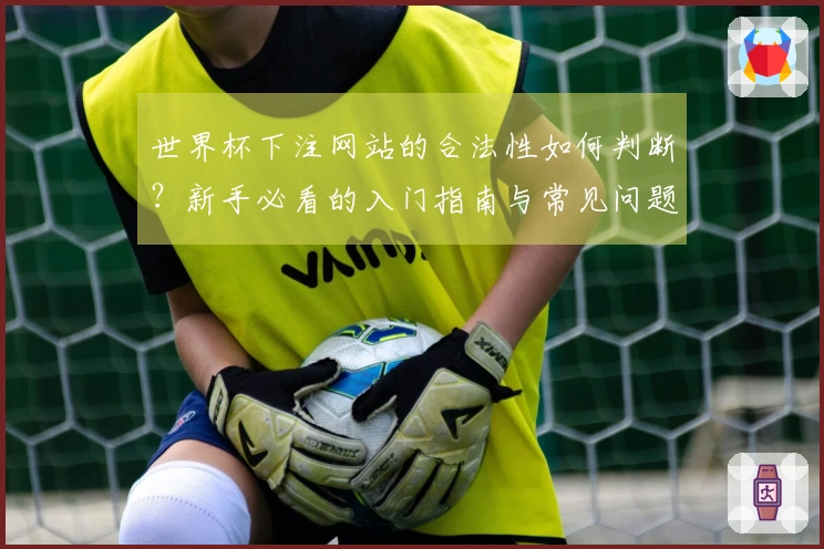 世界杯下注网站的合法性如何判断？新手必看的入门指南与常见问题解答