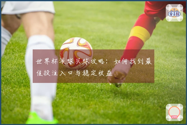 世界杯滚球买球攻略：如何找到最佳投注入口与稳定收益