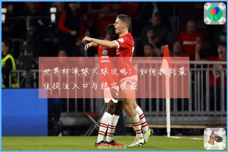 世界杯滚球买球攻略：如何找到最佳投注入口与稳定收益